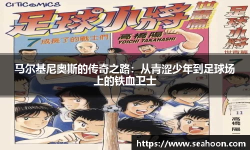 星空体育网站入口